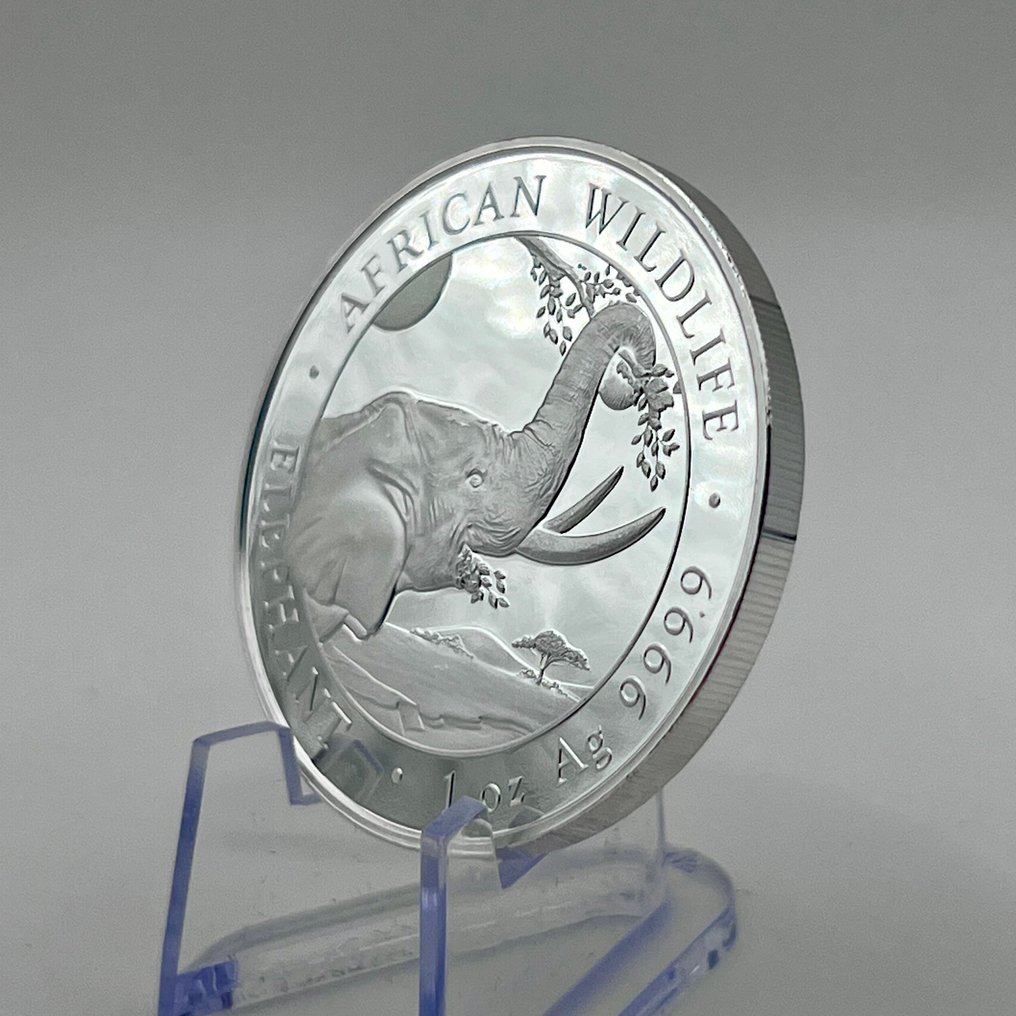 Somalië. 100 Shilling 2023 Wildlife Elephant Silver Coin Somalia 1 oz (.999) (Zonder Minimumprijs) #4.3
