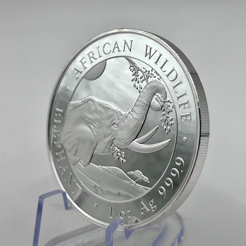 Somalië. 100 Shilling 2023 Wildlife Elephant Silver Coin Somalia 1 oz (.999) (Zonder Minimumprijs) #1.0