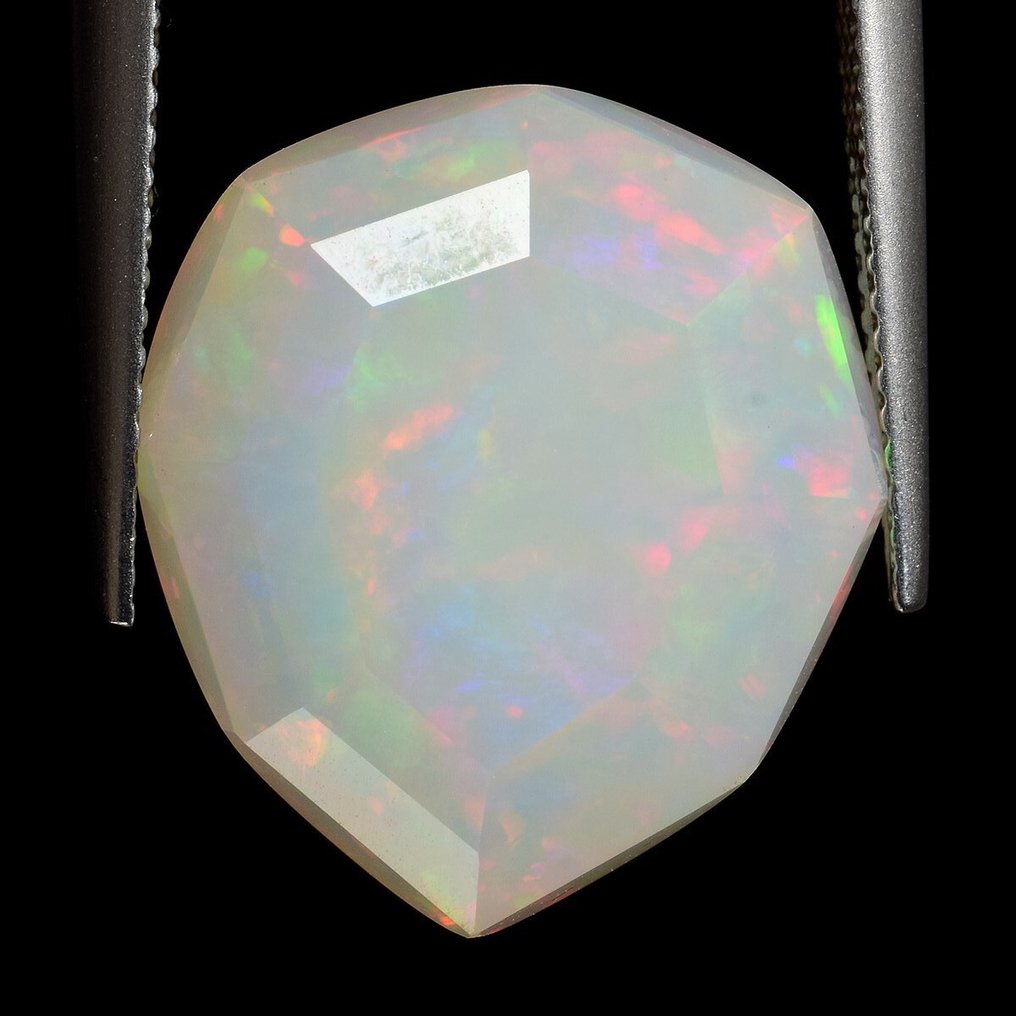 1 pcs Biały Opal - 14.97 ct - Antwerp Laboratory for Gemstone Testing (ALGT) #2.1