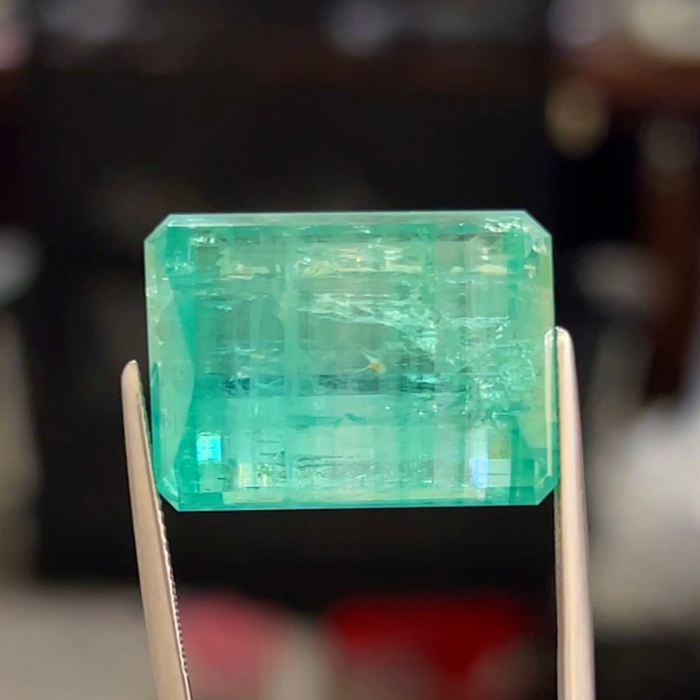 Verde, Albastru Smarald - 61.51 ct - GIA (Institutul gemologic din SUA) - Ultra Rară {Ulei Minor} #1.0