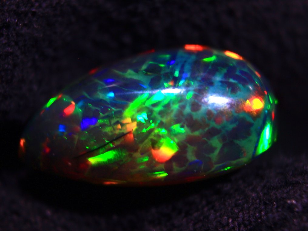 UNICO! Ct. 17.50 Opale Nero Goccia - 弧面形 - 高度: 24 mm - 宽度: 15 mm- 3.5 g #1.0