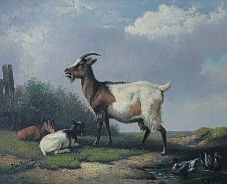 Hollandse School (XX) - Geiten #1.0