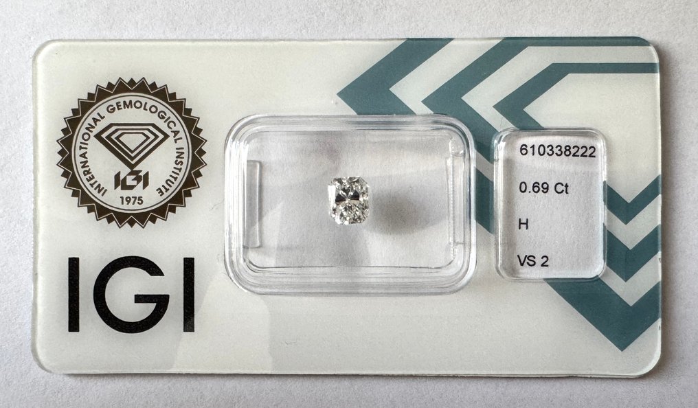 1 pcs 鑽石  (天然)  - 0.69 ct - 雷地恩型 - H(次於白色的有色鑽石) - VS2 - 國際寶石學院（International Gemological Institute (IGI)） #1.0