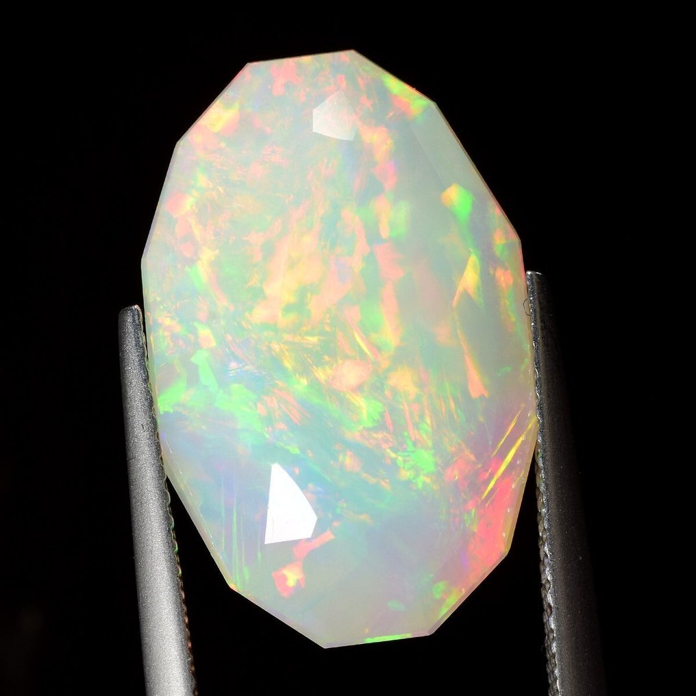 1 pcs Hvid Opal - 11.58 ct - Antwerp Laboratory for Gemstone Testing (ALGT) #2.1