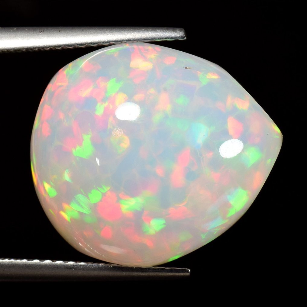 1 pcs Biały Opal - 14.97 ct - Antwerp Laboratory for Gemstone Testing (ALGT) #1.0
