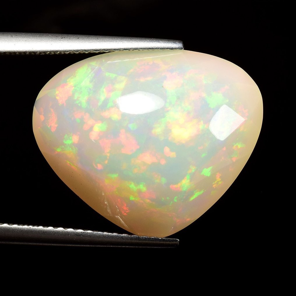 1 pcs Λευκό Οπάλιο - 11.56 ct - Antwerp Laboratory for Gemstone Testing (ALGT) #1.0