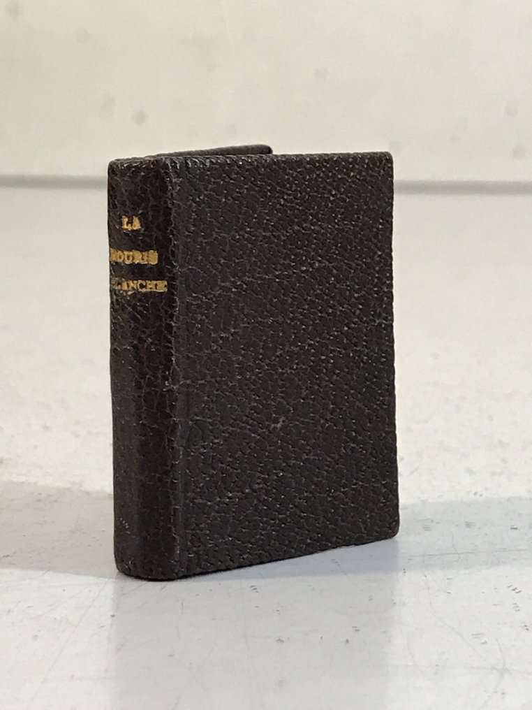 Hégésippe Moreau / Henri Pille - La Souris Blanche. [Livre minuscule] - 1895 #4.3