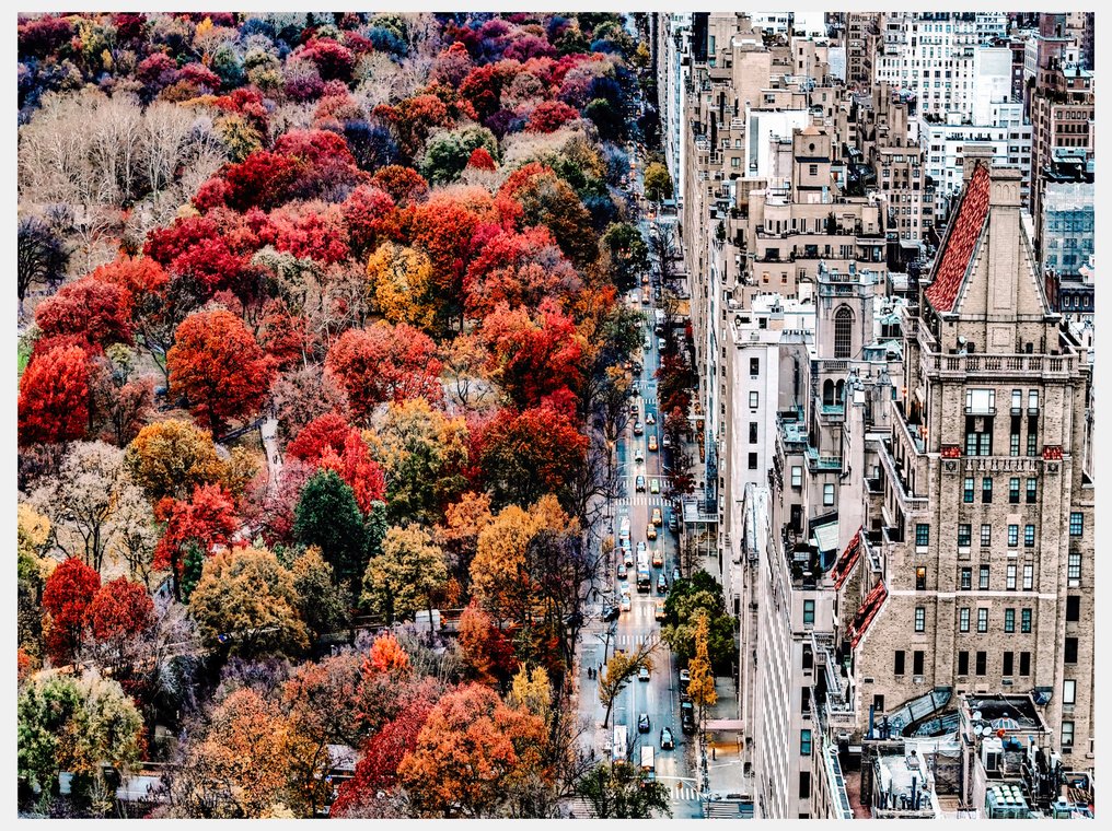 Fabian Kimmel - New York City Fall I - Series of 6, New York #4.3