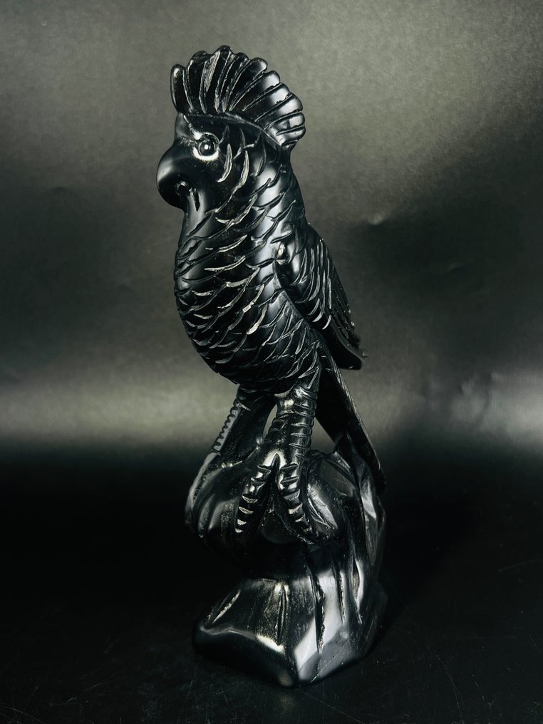 Black Obsidian Parrot Proudly perched with golden accents - Height: 185 mm - Width: 80 mm- 534 g - (1) #3.2
