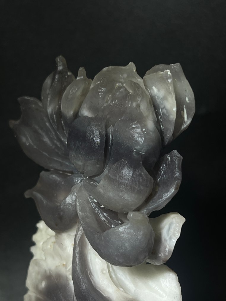 Blooming fluorite flower on white base – Nature-Inspired Crystal Art - Height: 85 mm - Width: 175 mm- 540 g - (1) #3.2
