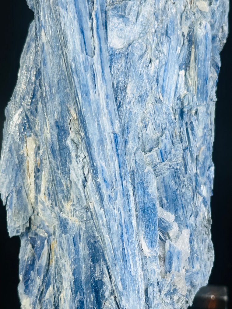 Striking blue kyanite cluster in quartz matrix Uncommon Long Formation - Height: 220 mm - Width: 80 mm- 1590 g - (1) #1.0