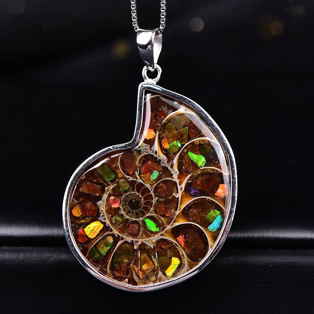 Ingen reservasjon - ALGT-sertifisert - Stor og eksklusiv naturlig ammolitt anheng En intens farge som umiddelbart fanger øyet- 11.59 g #1.0