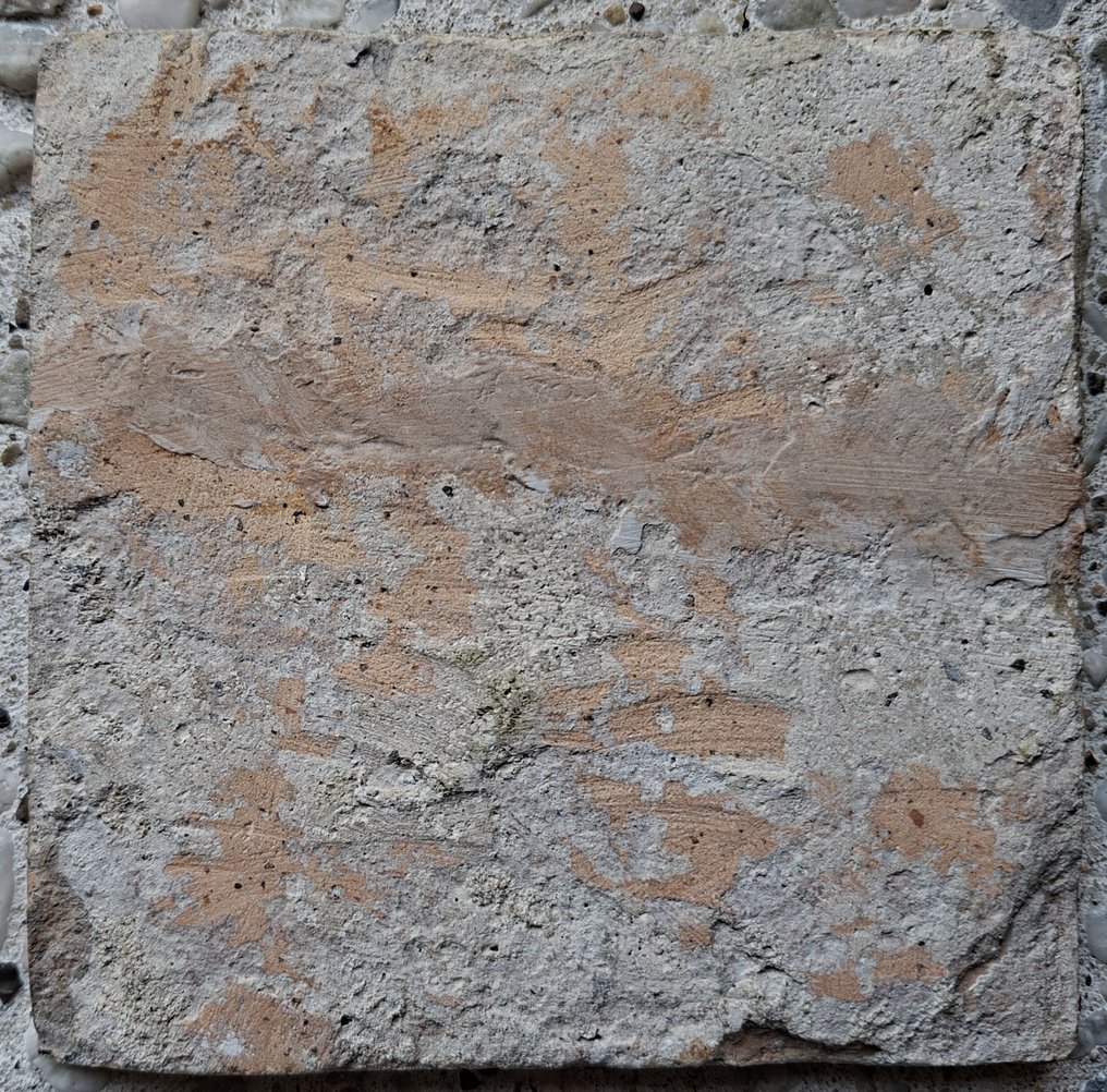  Πλακάκι - Αρχαίο πλακάκι με πιατέλα φρούτων. - 1600-1650  #1.0