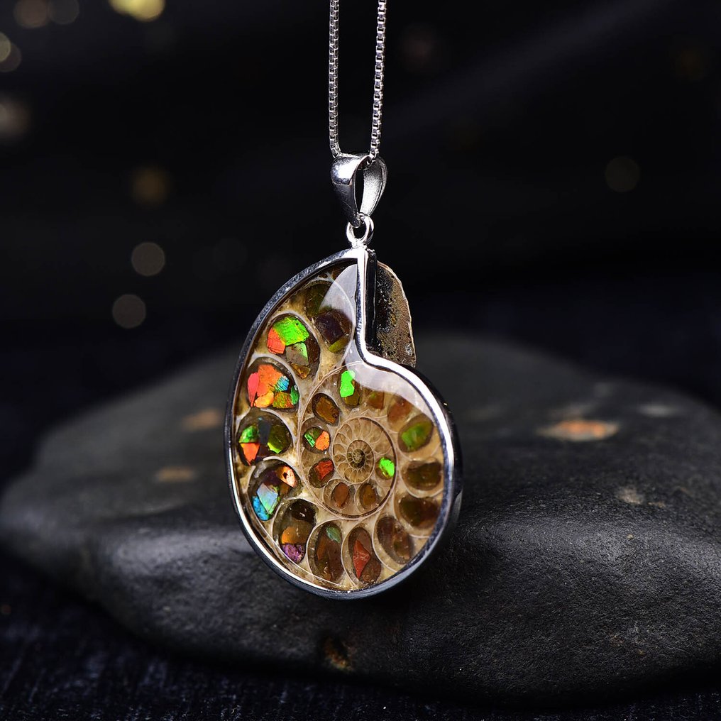 Pas de réserve - Certifié ALGT - Grand et exclusif pendentif en ammolite naturelle Une teinte intense façonnée par le temps et la nature- 12.26 g #4.3