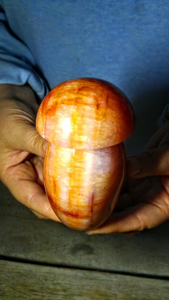 Carnelian Dowolna forma - Wysokość: 11 cm - Szerokość: 6 cm- 541 g #3.2