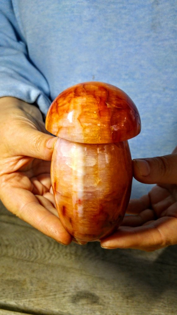 Carnelian Dowolna forma - Wysokość: 11 cm - Szerokość: 6 cm- 541 g #1.0