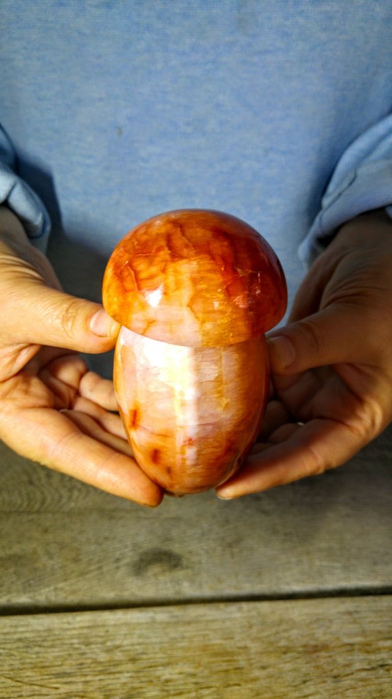 Carnelian Dowolna forma - Wysokość: 11 cm - Szerokość: 6 cm- 541 g #1.0