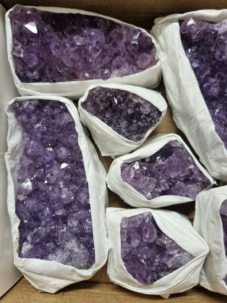 Big Lot HQ Uruguay Amethyst Clusters 10.5 - 5 cm Crystal cluster- 1.6 kg - (12) #2.1