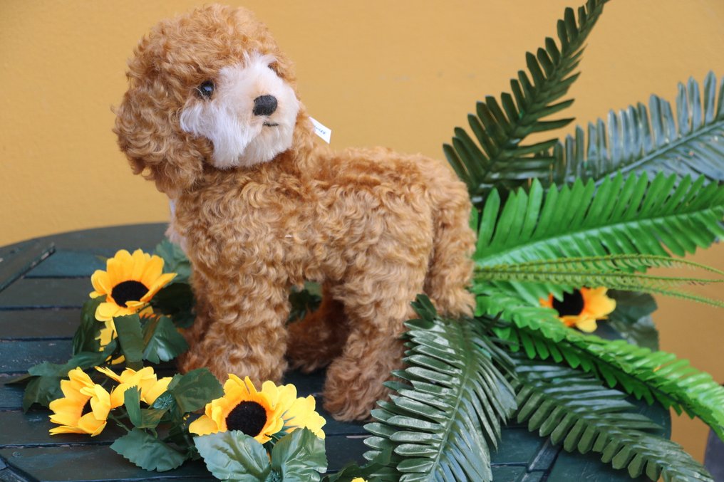 Steiff: Ricky de cockapoo, 27cm, - Pluche dier - 2020+ - Duitsland #2.1