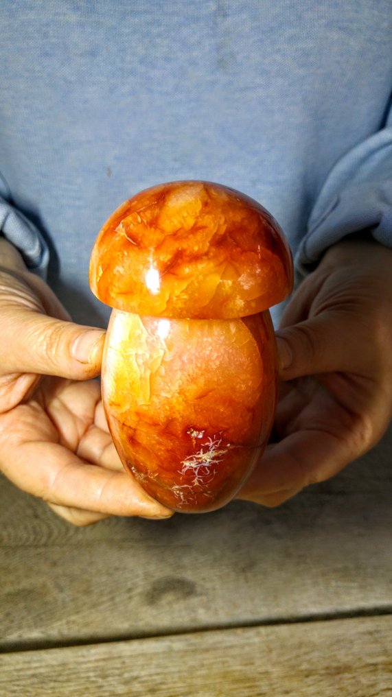 Carnelian Dowolna forma - Wysokość: 11 cm - Szerokość: 6 cm- 541 g #2.1