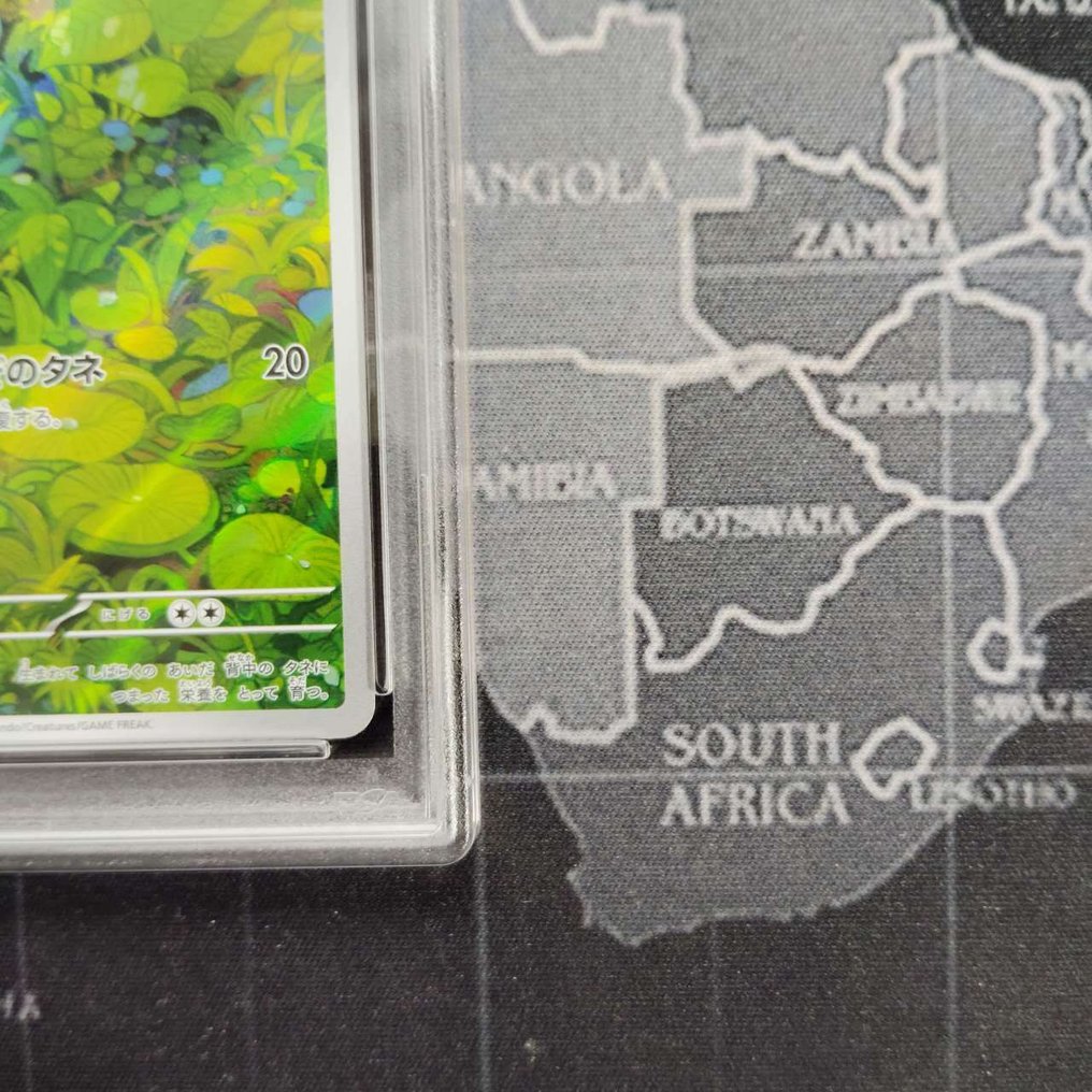 Pokémon - 1 Graded card - Bulbasaur - PSA 10 - Scarlet & Violet #4.3