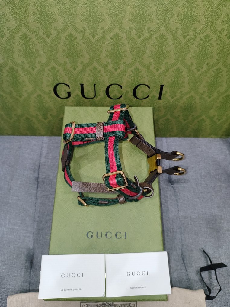 Gucci - 宠物配件 #3.2
