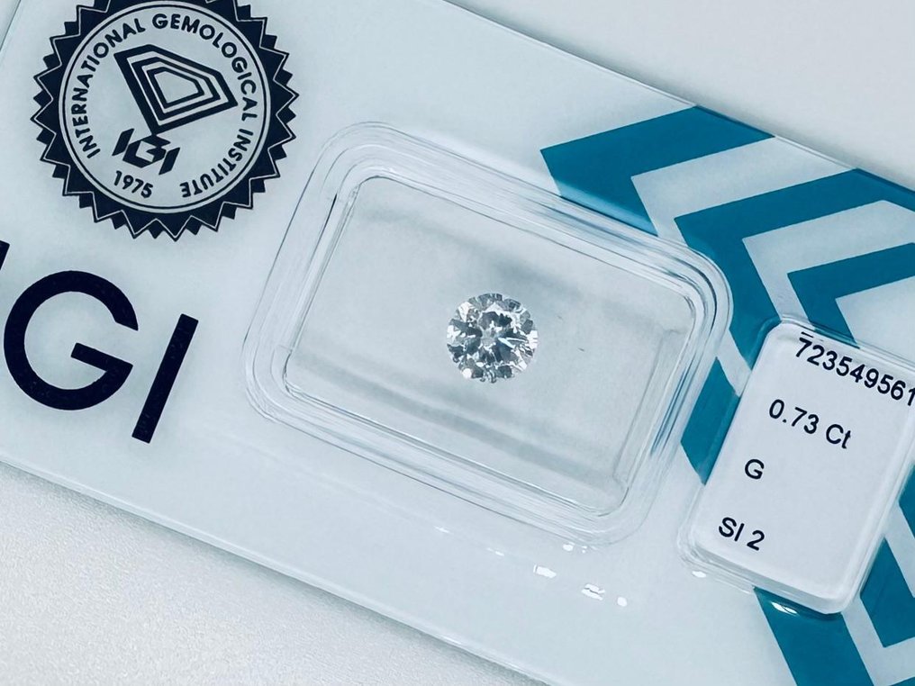 没有保留价 - 1 pcs 钻石  (天然)  - 0.73 ct - 圆形 - G - SI2 微内含二级 - 国际宝石研究院（IGI） #1.0