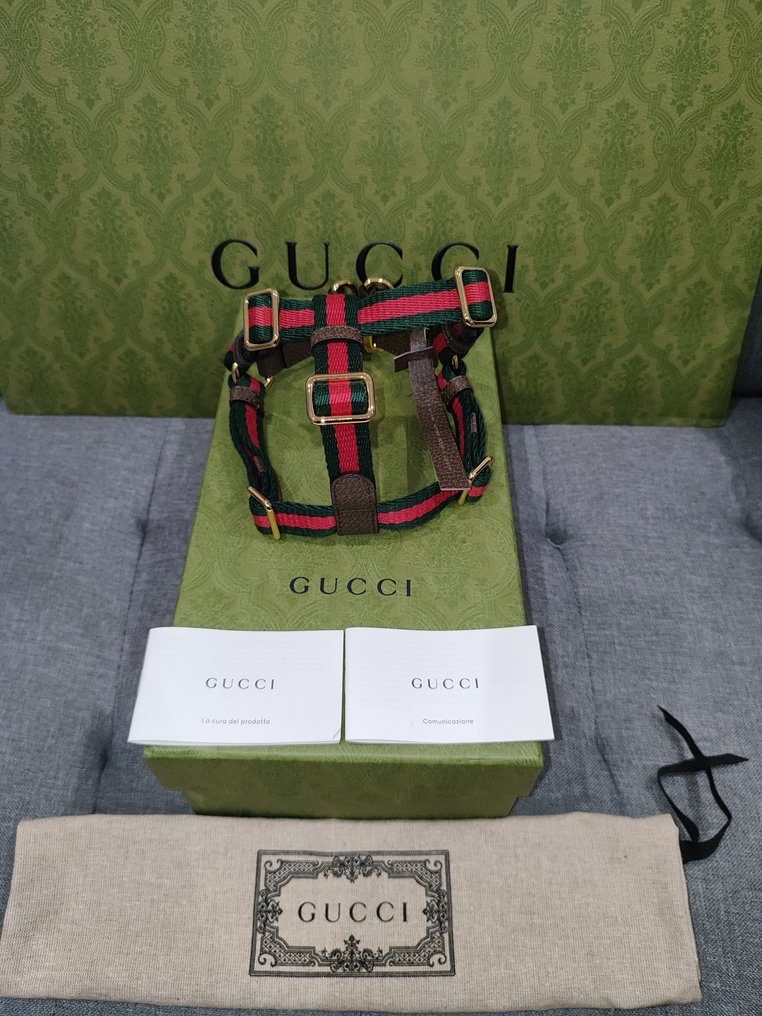 Gucci - 宠物配件 #1.0