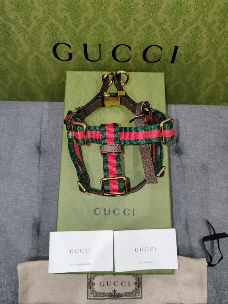 Gucci - 宠物配件 #1.0