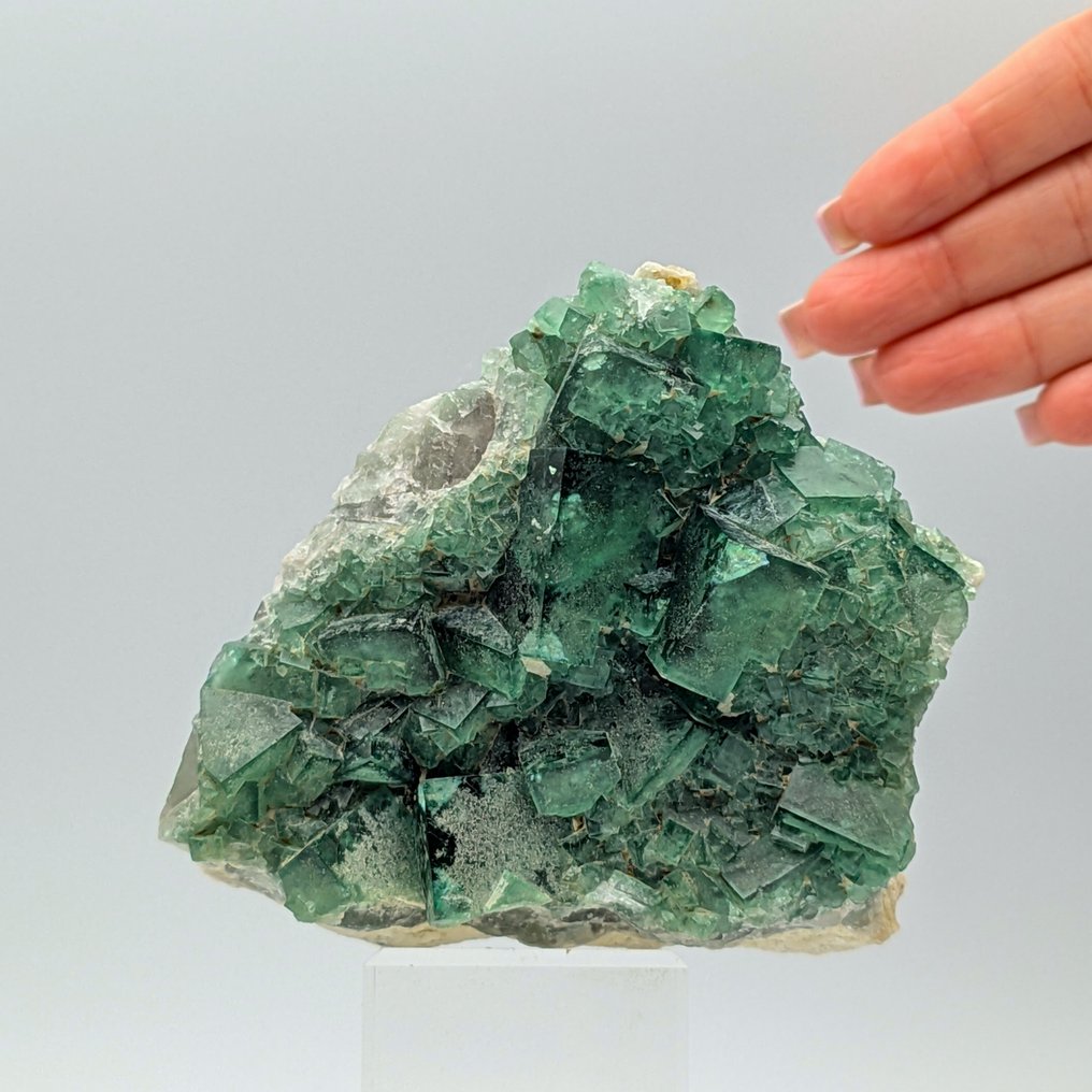 Πράσινο φθορίτη, σταυρωτά κρυστάλλια, Μαδαγασκάρη. Κρύσταλλοι στη μήτρα - Ύψος: 96 mm - Πλάτος: 95 mm- 573 g #4.3