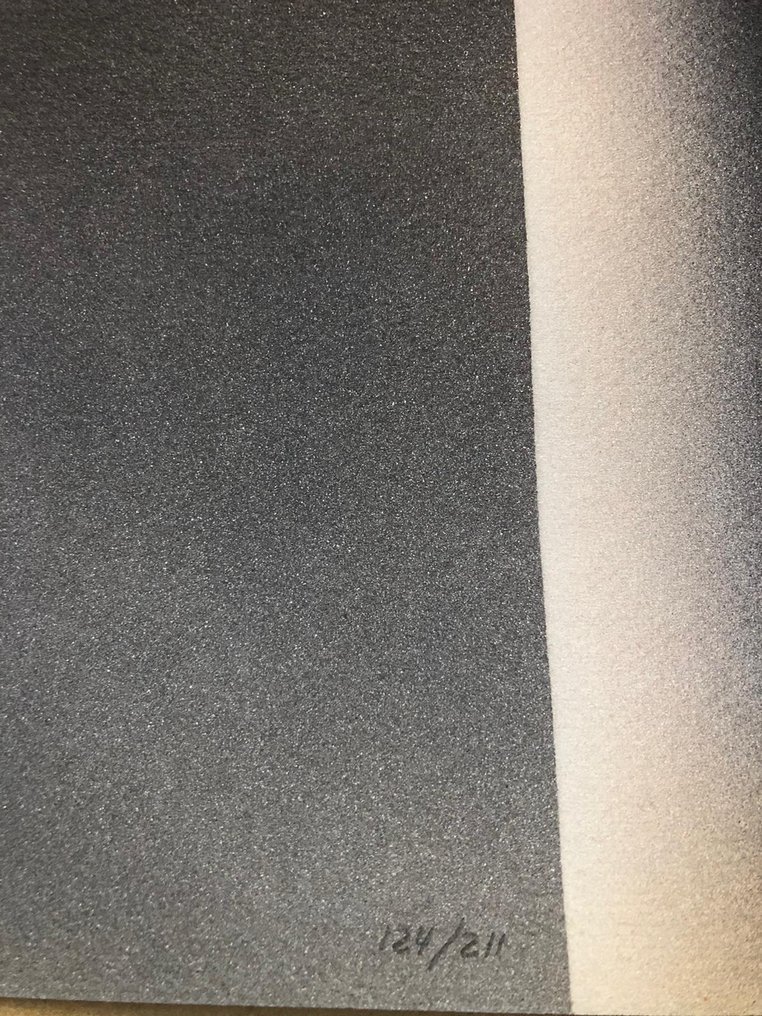 Julio Le Parc (1928) - Senza titolo #3.2