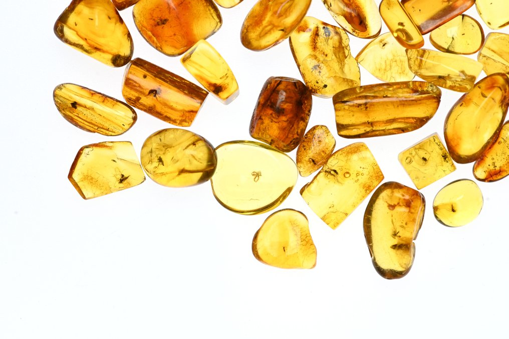 波罗的海琥珀——50件装，全部带有化石昆虫包裹体。 - 光滑化石  (没有保留价) #4.3