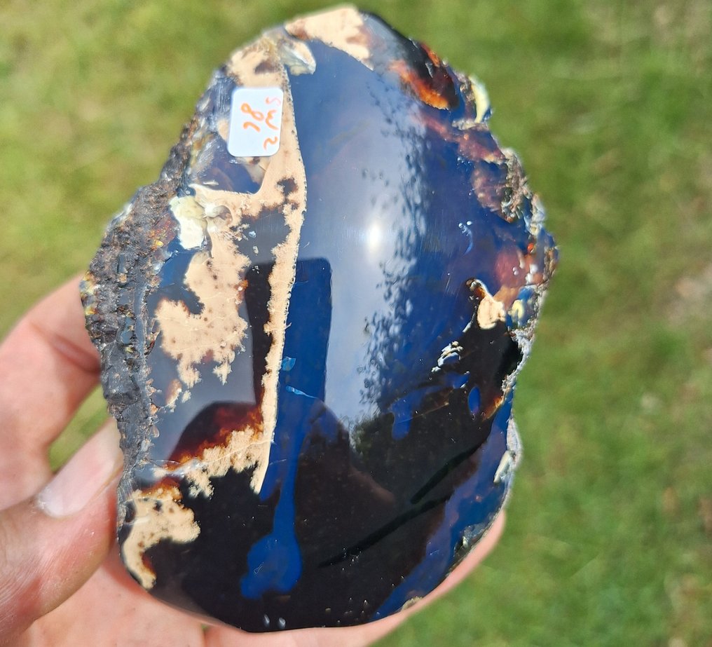 Bernstein - Bernstein - blauw zonder UV -multicolor A+ kwaliteit! - 11 cm - 8.5 cm #1.0