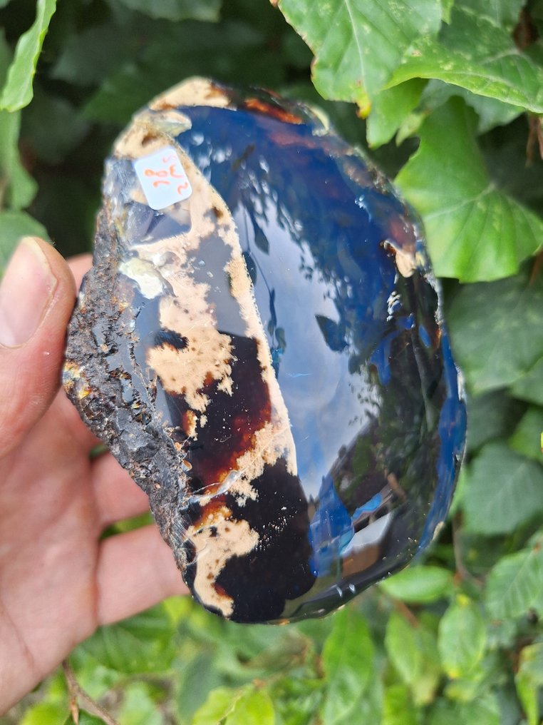 Bernstein - Bernstein - blauw zonder UV -multicolor A+ kwaliteit! - 11 cm - 8.5 cm #3.2