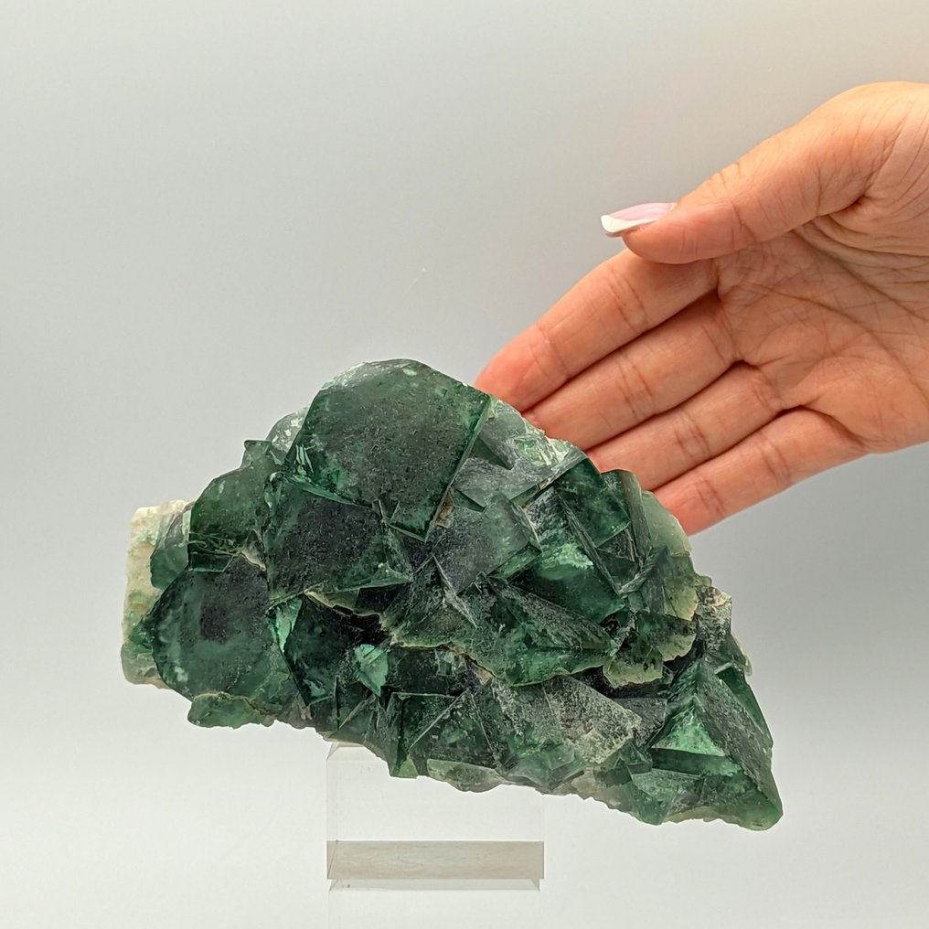 Green Fluorite, Crossed Crystals, Madagascar Crystals on matrix - Height: 144 mm - Width: 83 mm- 767 g #1.0