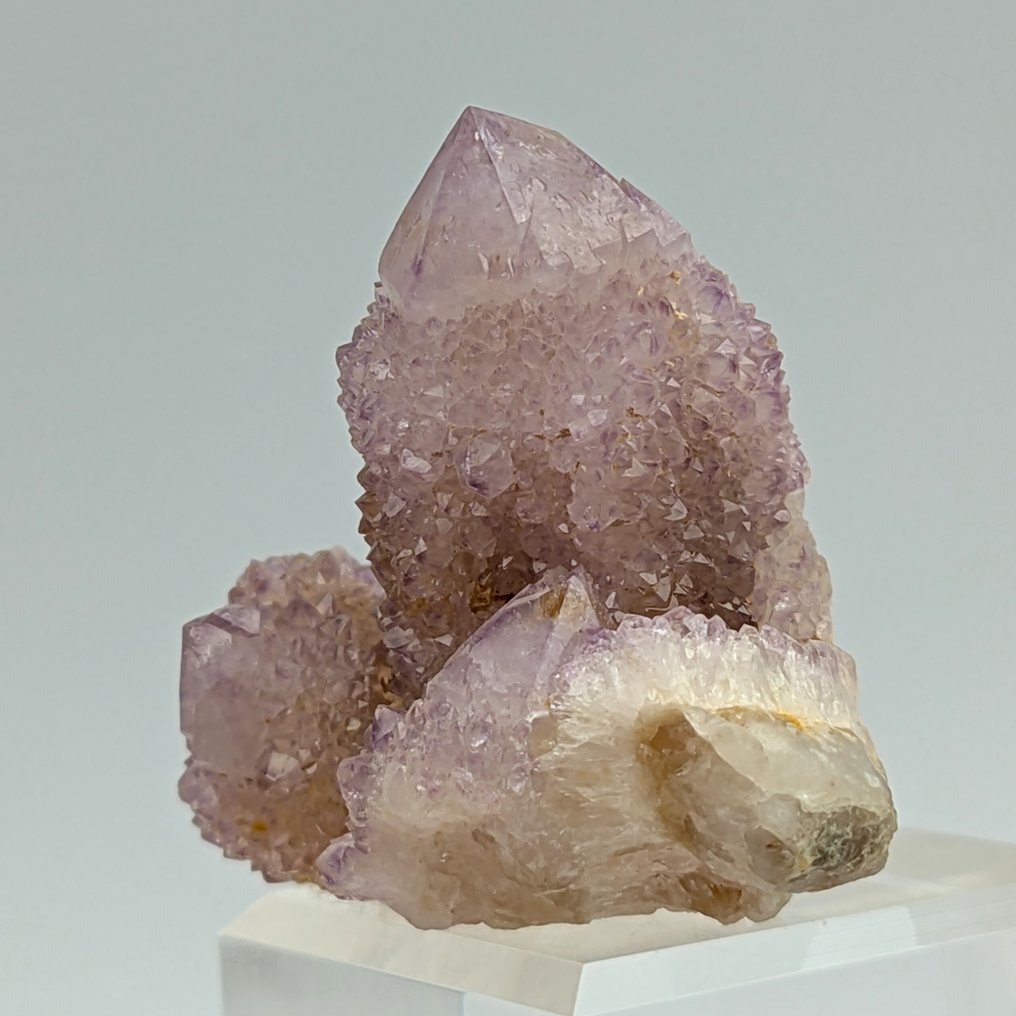 ΑMETISTA CACTUS, πάνω από 100 κρύσταλλα ΒΙΟΛΑ, εκλεπτυσμένο Κρύσταλλοι - Ύψος: 58 mm - Πλάτος: 47 mm- 56 g #2.1