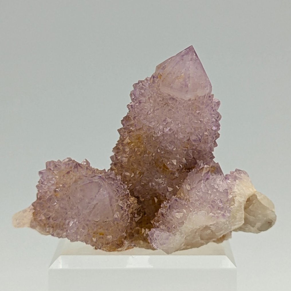 ΑMETISTA CACTUS, πάνω από 100 κρύσταλλα ΒΙΟΛΑ, εκλεπτυσμένο Κρύσταλλοι - Ύψος: 58 mm - Πλάτος: 47 mm- 56 g #1.0