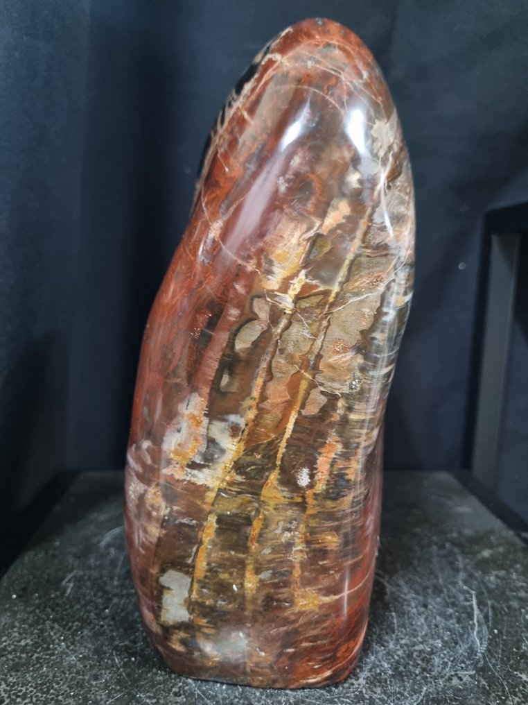 XXL petrified wood sculpture - HQ - Height: 230 mm - Width: 120 mm- 4.6 kg #4.3