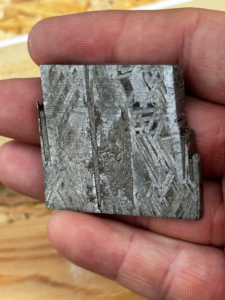 Meteorite Aletai Nessuna riserva - 47.2 g #4.3