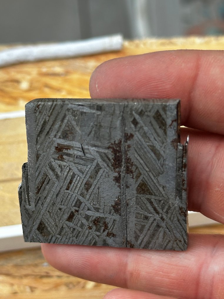 Meteorite Aletai Nessuna riserva - 47.2 g #1.0