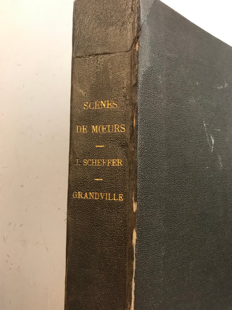 Jean Gabriel Scheffer / Granville / Traviès - Scènes de Moeurs. [Suite de 112 lithographies rehaussées à la main] - 1826 #3.2