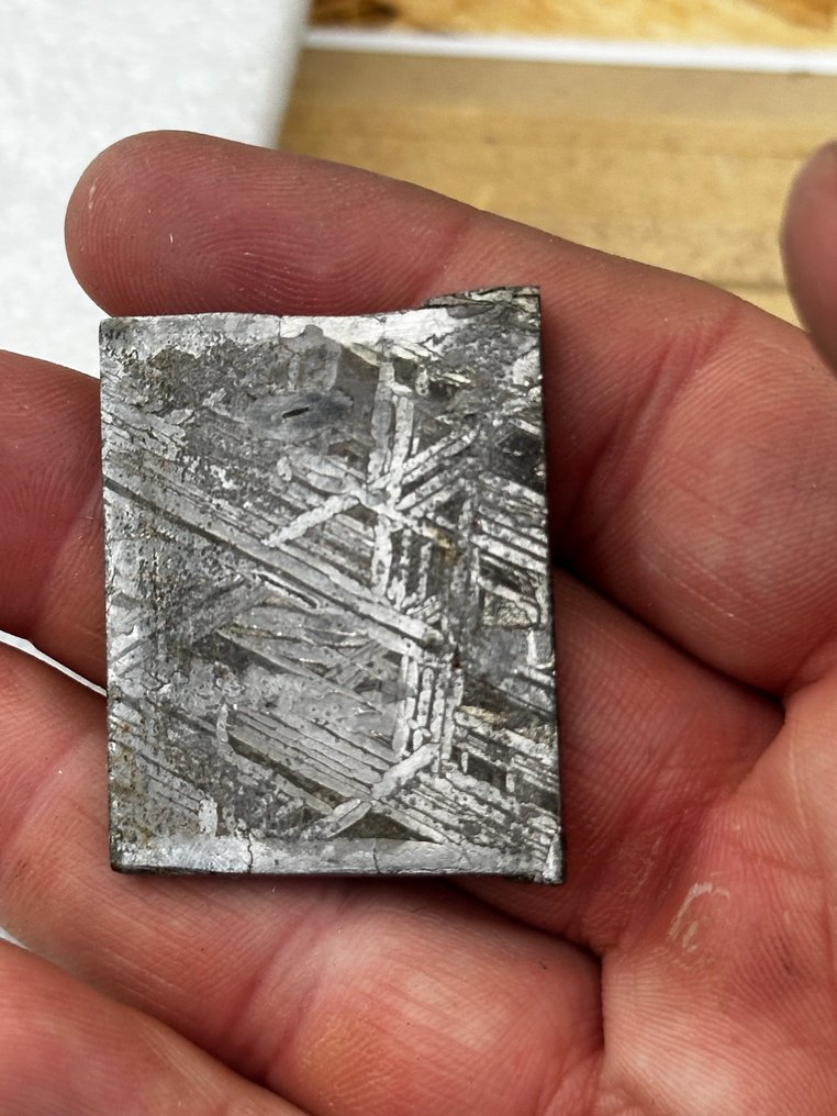 Meteorito Aletai SIN RESERVA - 26.2 g #3.2