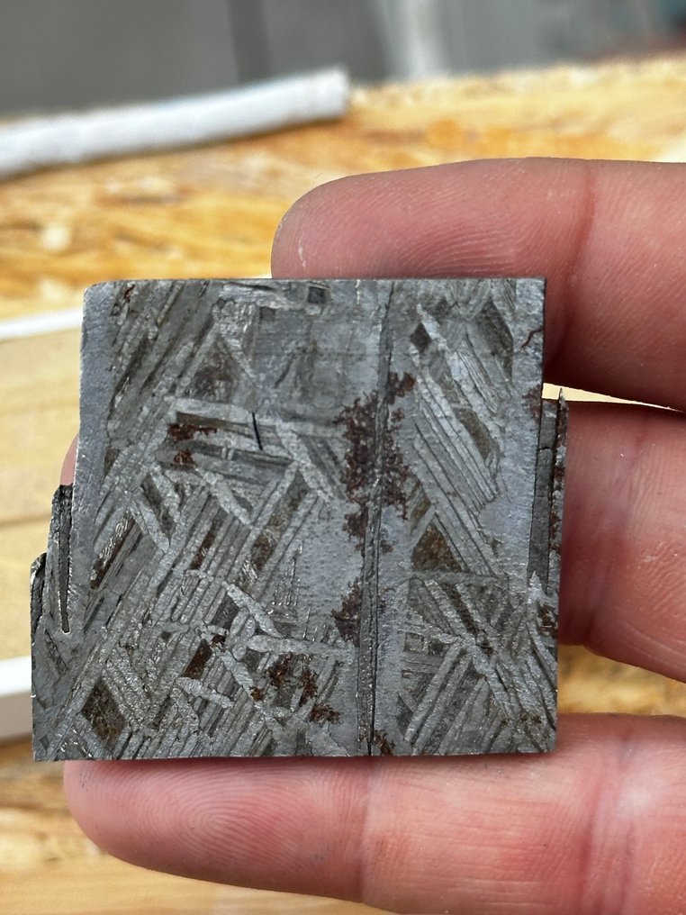 Meteorite Aletai Nessuna riserva - 47.2 g #2.1