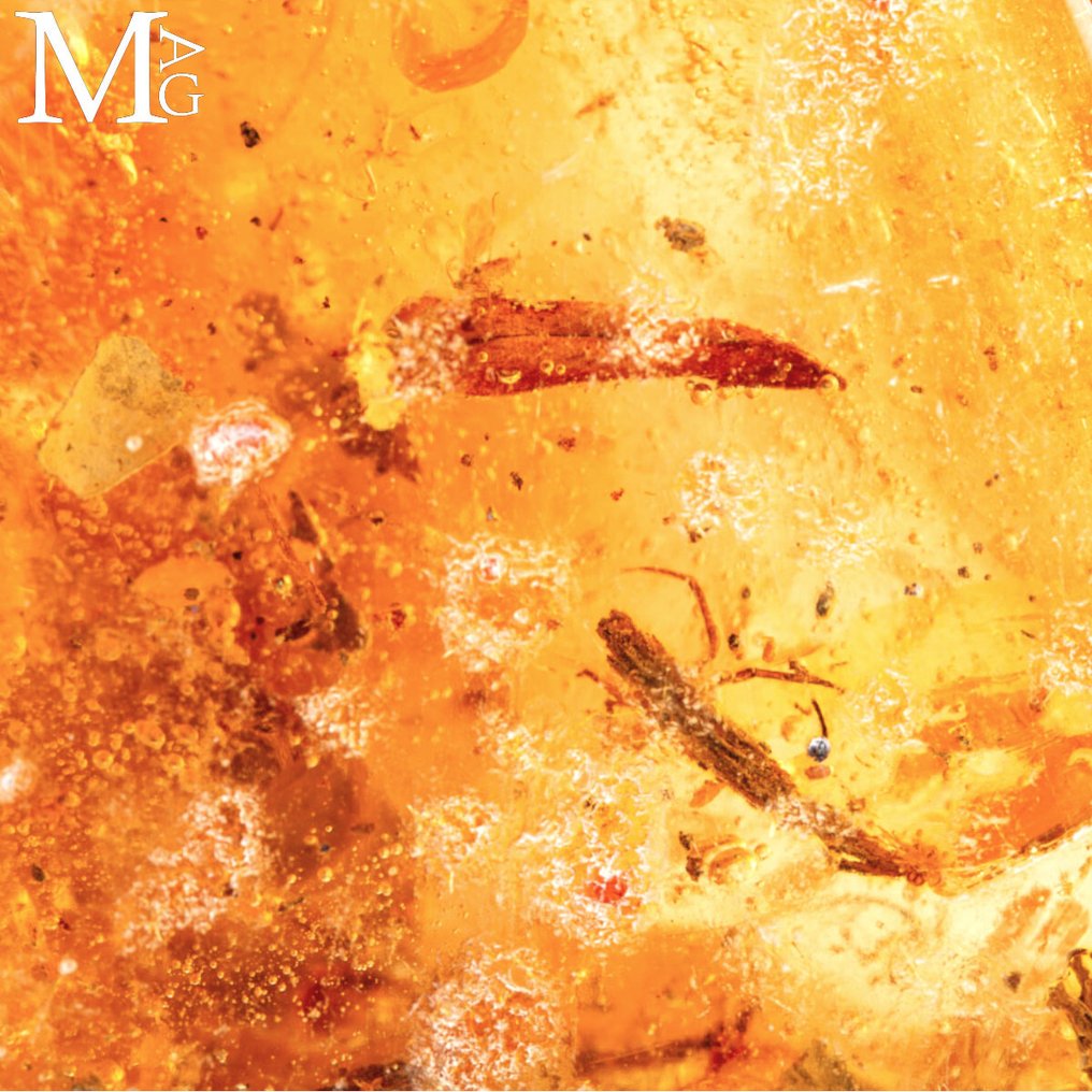 Specimen of Copal - natural - young Amber. Madagascar Copal – Fossil Resin with insect inclusions - Height: 111.5 mm - Width: 61 mm- 96 g #3.2