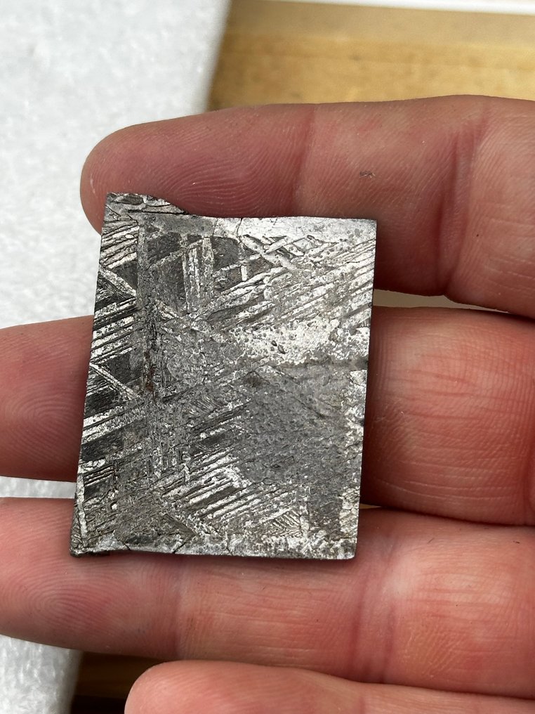 Meteorito Aletai SIN RESERVA - 26.2 g #1.0