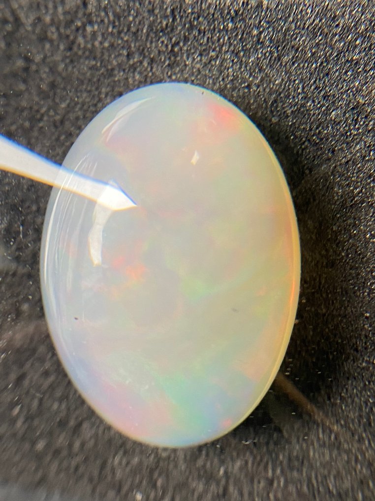 没有保留价 白色 蛋白石  - 14.85 ct - 西班牙宝石学院（IGE） - 浓烈的色彩游戏 #4.3