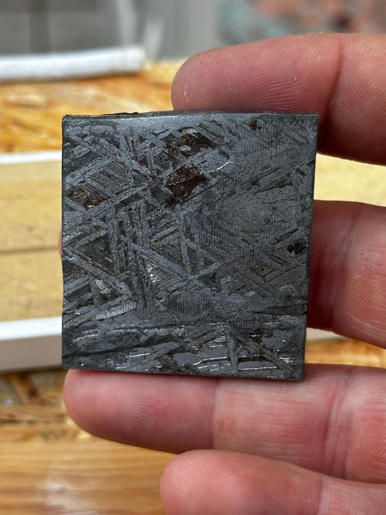 Meteorito Aletai SIN RESERVA - 37.8 g #1.0