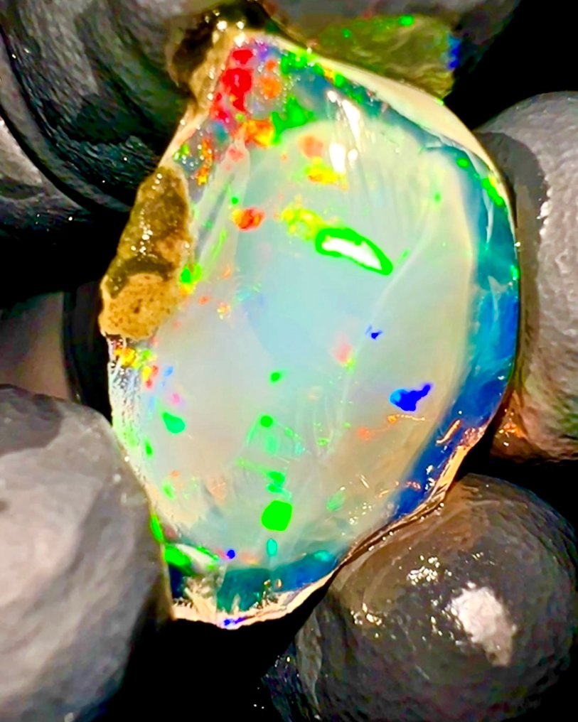 WITHOUT RESERVE - Natural crystalline opal AAA+++ - untreated - 20 carats high-quality crystal opal - Height: 25 mm - Width: 20 mm- 4 g - (1) #1.0