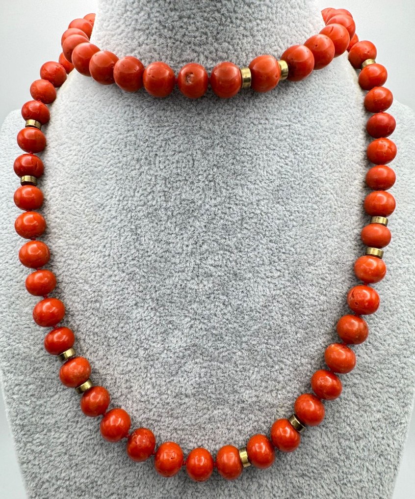 Korall Korall - Mittelmeer #1.0