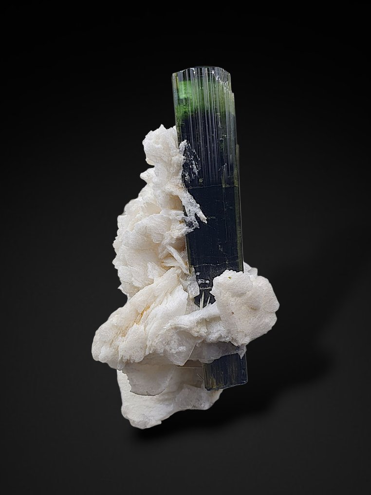 Πράσινη κεφαλή του τουρμαλίνης σε κλειβενταϊτική μίκα. Δείγμα - Ύψος: 8 cm - Πλάτος: 4.1 cm- 72 g - (1) #1.0